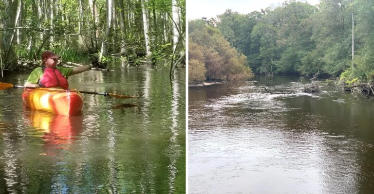Few People Realize South Carolina Is Home To America’s Longest Free-Flowing Blackwater River