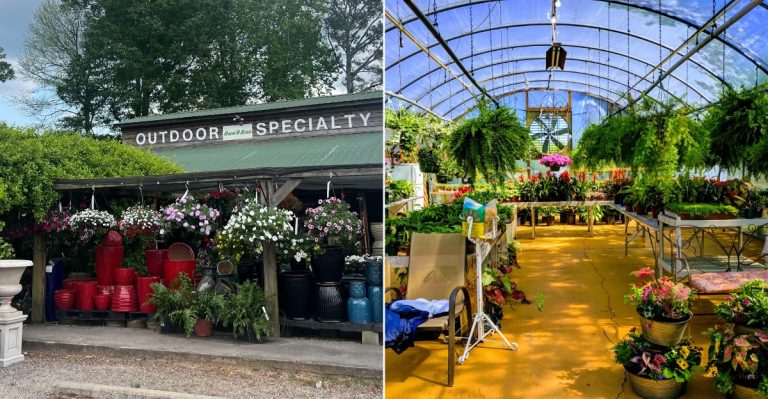 Georgia Gardeners Keep Coming Back To These 11 Affordable Garden Centers