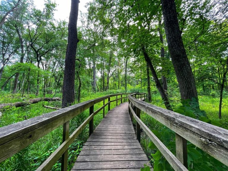This Quiet Illinois Nature Preserve Hides 6 Miles Of Wooded Trails For Free