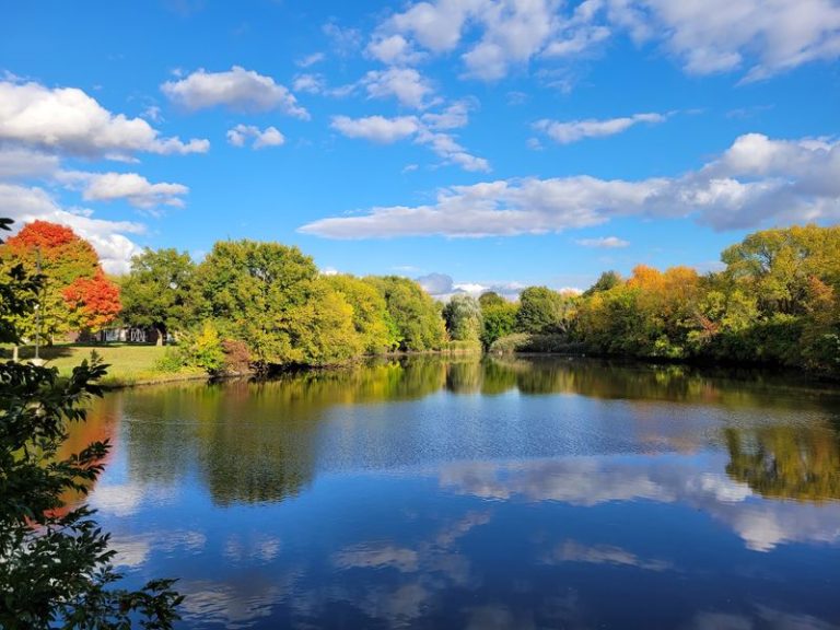This Peaceful Illinois Park Has Trails, Petting Goats, And A Children’s Museum All In One Stop
