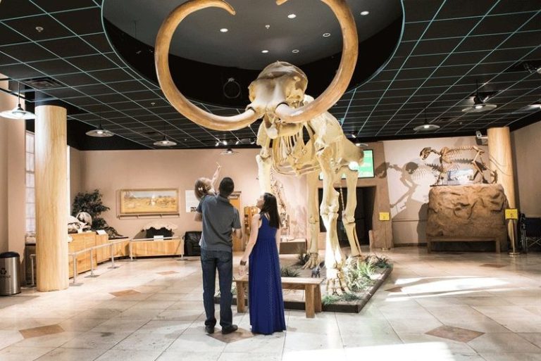 12 Arizona Museums Keep Stories That History Books Quietly Leave Out