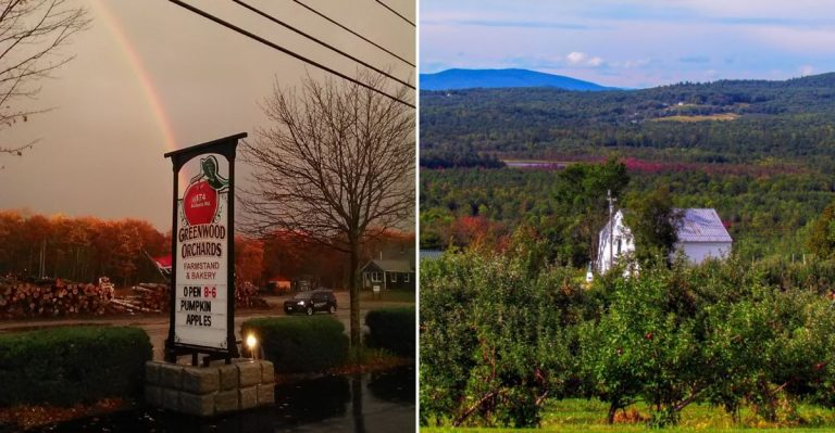 The Tiny Maine Town With Some Of The State’s Best Apple Orchards This Fall
