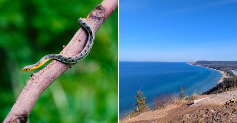 Sleeping Bear Dunes National Lakeshore