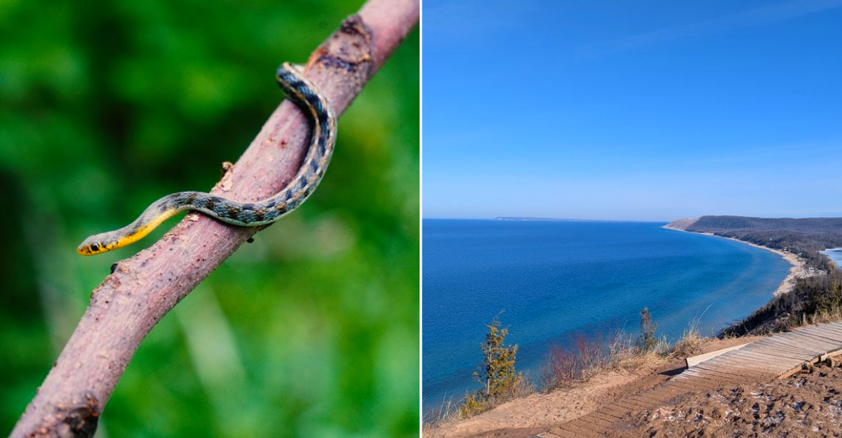 Sleeping Bear Dunes National Lakeshore
