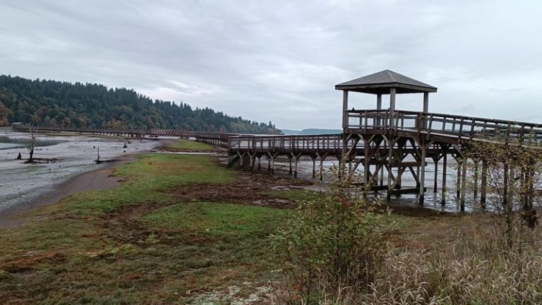 Follow This Free Washington Boardwalk Into A Marsh Where Herons And Eagles Feed At Dawn