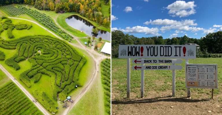 This Maine Apple Orchard Opens Its Giant Corn Maze After Dark For Just Two More Nights