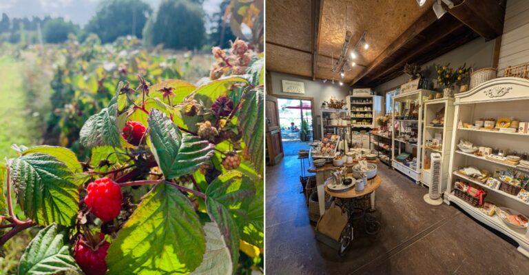 Everyone Knows Trader Joe’s, But This Hidden Oregon Farm Market Is A Dream For Berry Lovers