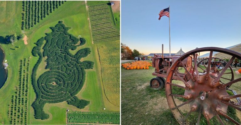 This Maine Orchard Lets You Explore A Corn Maze After Dark This October