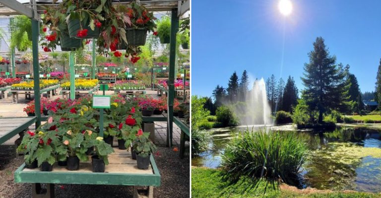 This 15-Acre Washington Garden Market Is So Big It Comes With Its Own Map