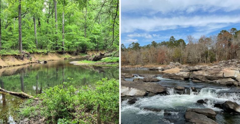 Arkansas’s Tick Map Highlights The Counties Around These 10 Wooded Destinations