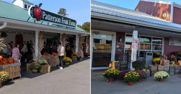 12 Ohio Peach Treat Stops That Capture The Flavor Of Late Summer