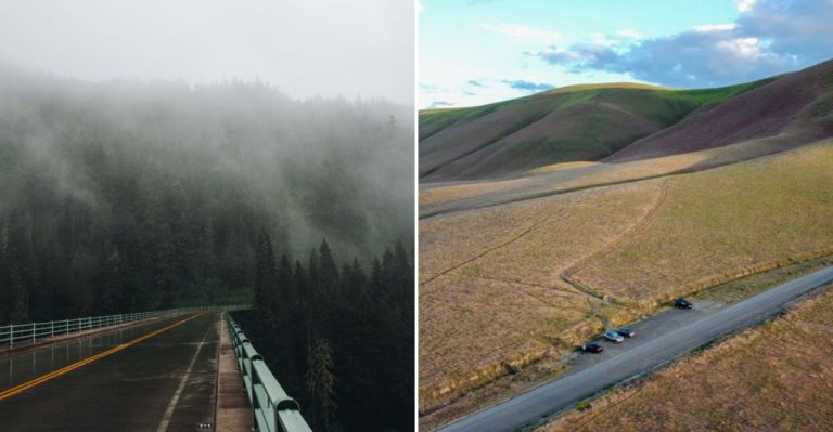 11 Haunted Roads In Washington Locals Avoid After Dark