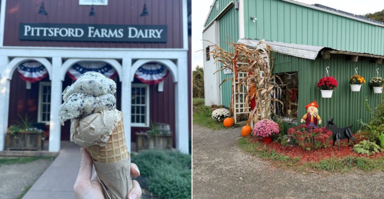 10 Upstate New York Farm Shops Where The Food Is Made Right On Site