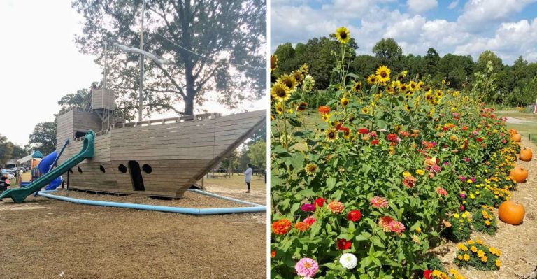 This Arkansas Farm Has A 250-Foot Mega Slide And A 3-Level Pirate Ship This Autumn