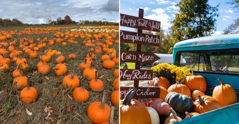 8 Maine Pumpkin Patches Where You Can Enjoy Fall Without Spending Much This October