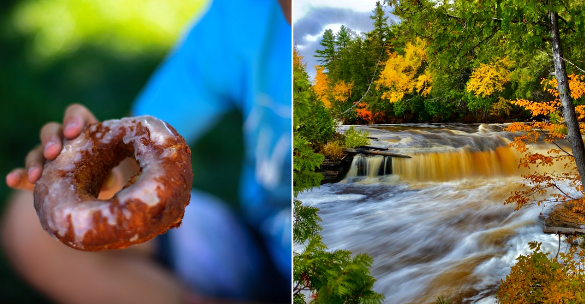 Tahquamenon Falls State Park