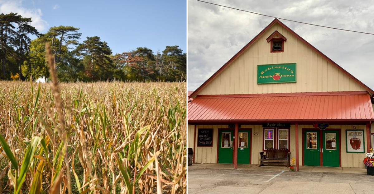 Robinette’s Apple Haus