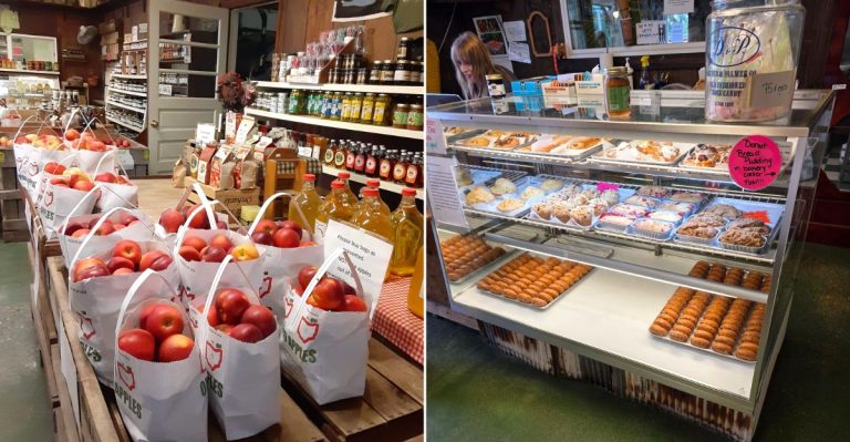 This Ohio Apple Orchard Is Easy To Miss, And Families Keep Coming Back
