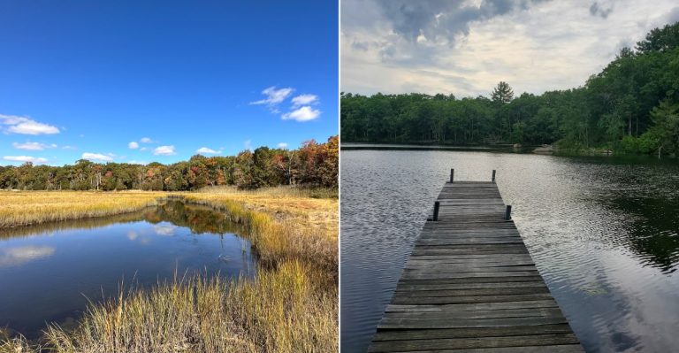10 Rhode Island Hiking Trails Where October’s Deer Rut Can Make Encounters More Common