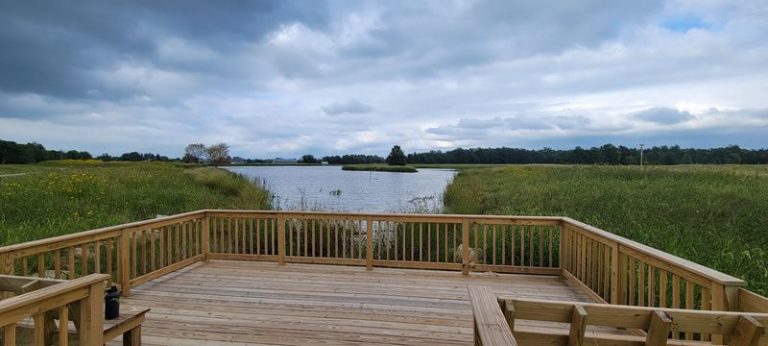 This Illinois Wetland Loop Lets You Walk Beside Head-High Prairie Grasses On A Boardwalk-And-Paved Trail