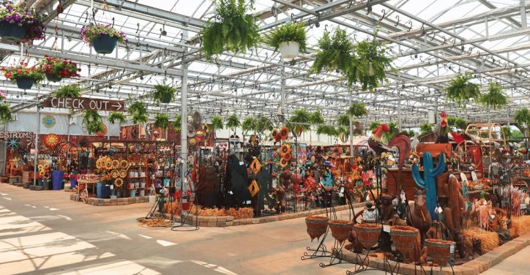The Massive Illinois Greenhouse Where Plant Lovers Can Still Find Surprisingly Affordable Prices