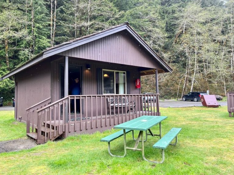 This Washington Forest Cabin Sits Steps From a Natural Hot Spring Inside Olympic National Park