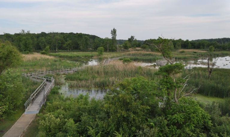 This Illinois Nature Boardwalk Winds Through A Wetland Most Drivers Speed Right Past
