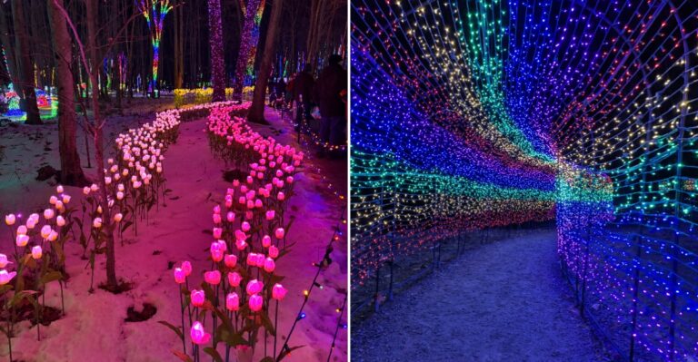 This Maine Farm Is Turning 14 Acres Into An Extraordinary Winter Wonderland This November