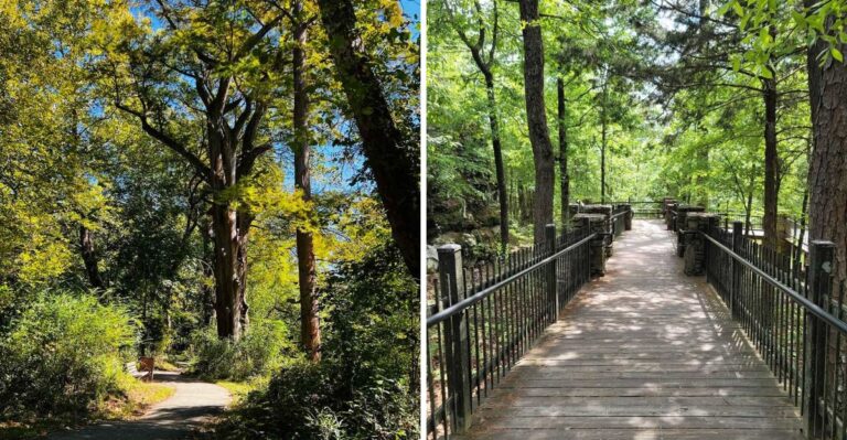 5 Easy Arkansas Trails With Stunning Fall Colors That Don’t Require A Long Hike