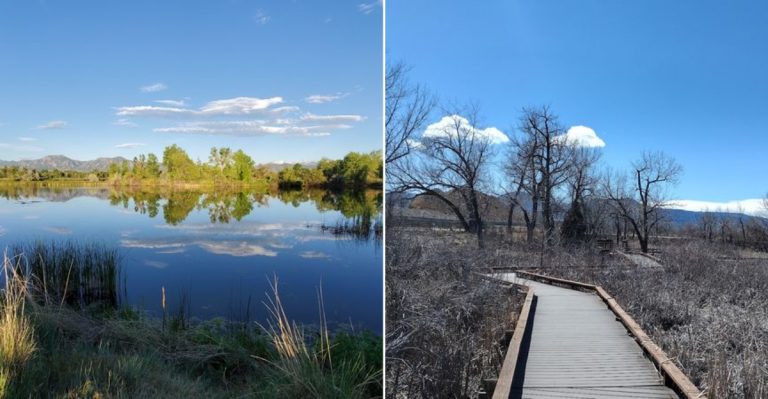 This Colorado Bird Sanctuary Has A Boardwalk Most Drivers Pass Without Ever Noticing
