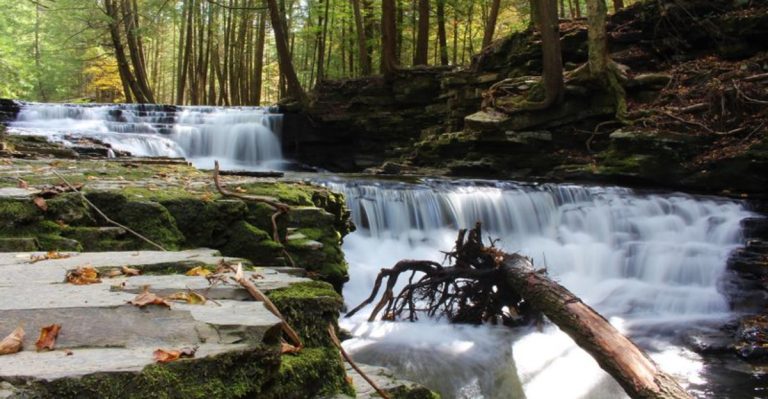 This Hidden Pennsylvania Park Is Filled With Tiny Waterfalls Hidden Among The Trees
