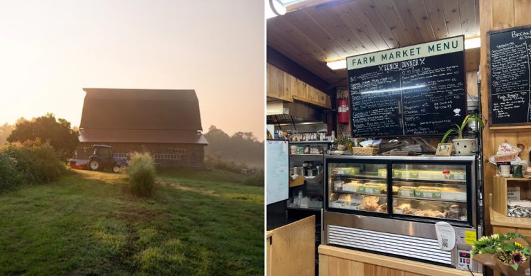 This Maine Restaurant In The Middle Of An Apple Orchard Is A Fall Experience Worth Trying
