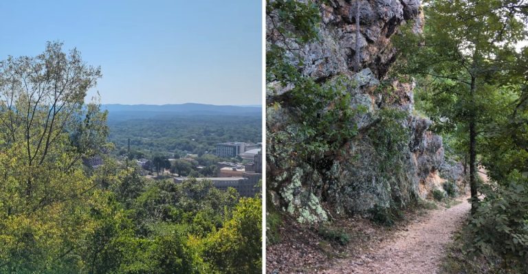 What You Need To Know About Snake Season In Hot Springs, Arkansas