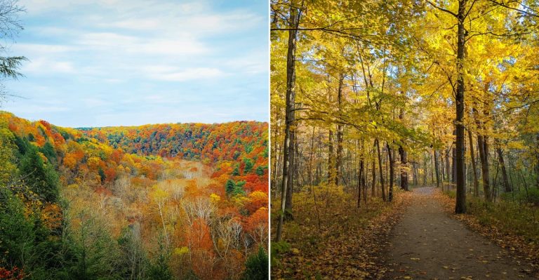 12 Ohio Fall Day Trips That Combine Trails, Main Streets, And Great Views
