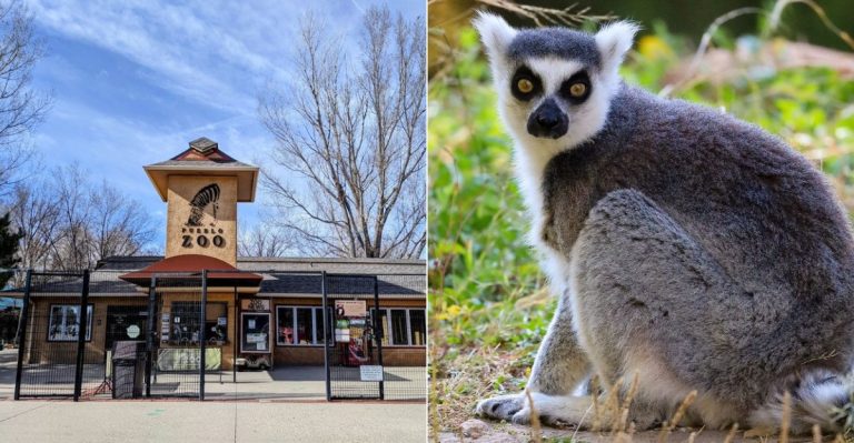 This Underrated Colorado Zoo Is Worth The Drive From Just About Anywhere