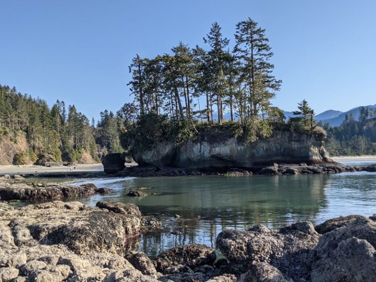 Hardly Anyone Mentions This Washington Tide Pool Cove Where Starfish Cling To Every Rock