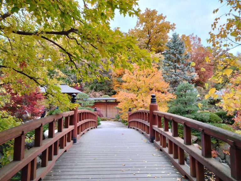 This Rockford, Illinois Sculpture Garden Turns A Quiet Walk Into A Free Afternoon Of Wonder