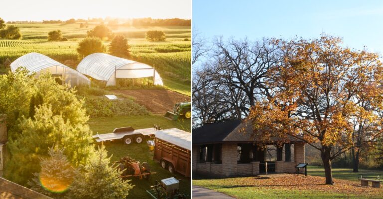 The Charming Illinois Town Built For Slow Fall Drives Past Postcard-Worthy Main Streets