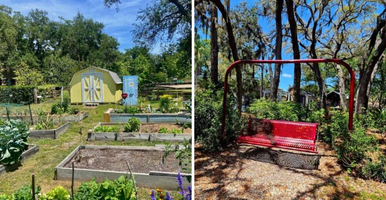 This Enchanted Florida Forest Trail Is Filled With Hidden Gnomes And Tiny Fairy Houses