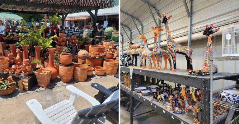 This Florida Garden Warehouse Is A Secret Goldmine For Cheap Pots And Garden Finds