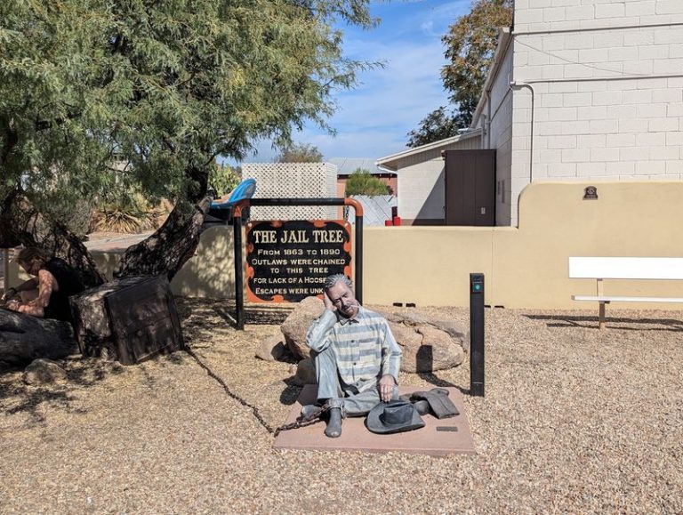 This Small Arizona Town Has A Living Mesquite That Once Served As Its Only Jail
