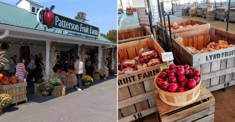 12 Ohio Apple Cider Donut Stops Made For A September Road Trip