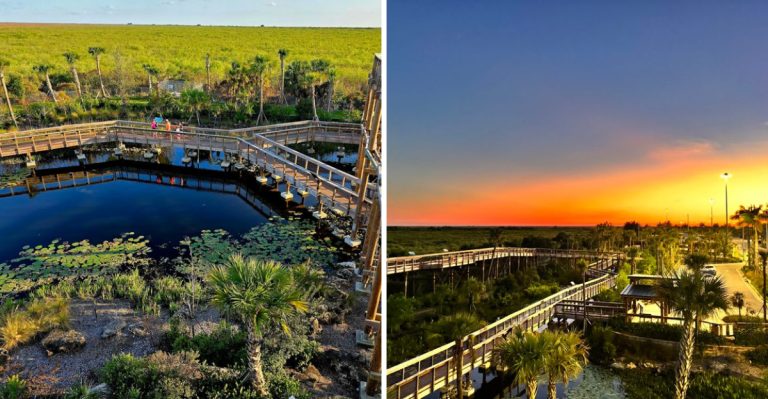 The Florida Everglades Just Got A New Elevated Boardwalk That’s Completely Free To Visit