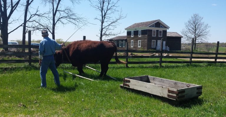 Families Step Back Into The 1840s At This 366-Acre Farmstead Museum In Illinois