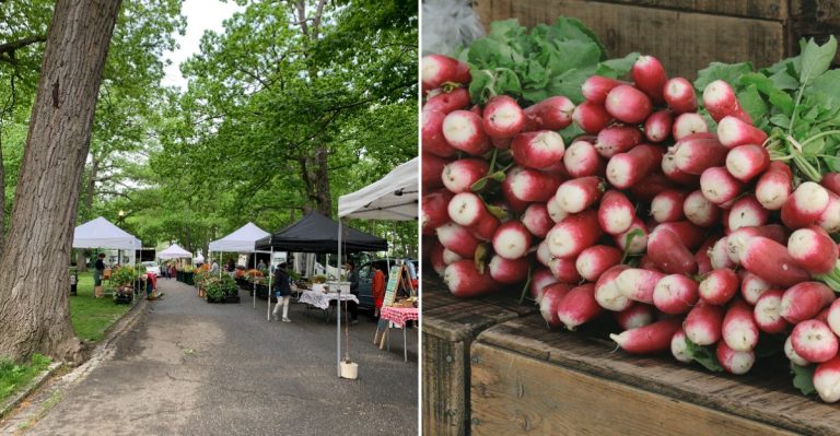 The Maine Farmers Market Locals Swear Is The Best In New England