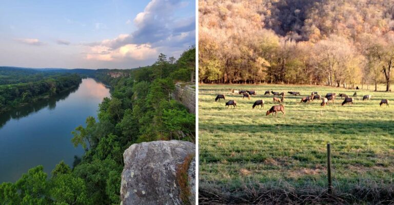 8 Lesser-Known Arkansas Towns That Belong On Your Fall Road Trip Radar