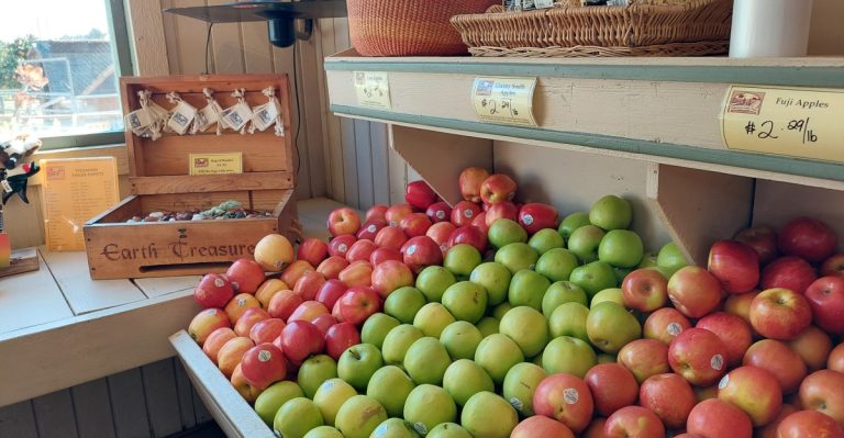 This California Farm Market Is Packed With So Much Fresh Food, You’ll Forget All About The Big Grocery Chains