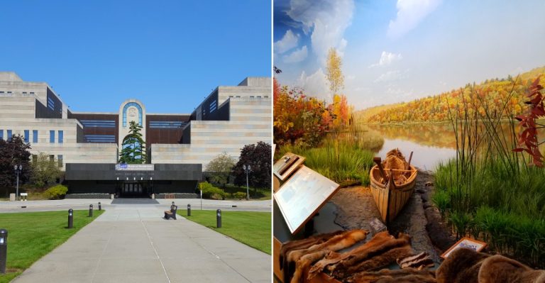 Michigan Archaeology Day