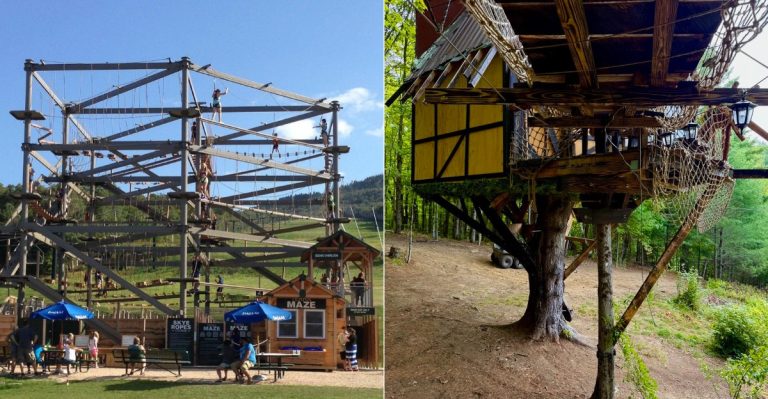 10 Vermont Nature Parks Bringing Treehouses, Forest Trails And Outdoor Fun Together