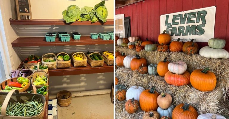 These Gorgeous South Carolina Upstate Apple Orchards Are Bursting With Fall Flavor Right Now